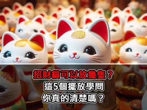 招財貓可以放幾隻|招財貓怎麼擺？舉左右手也有不同？招財貓科普+10款。